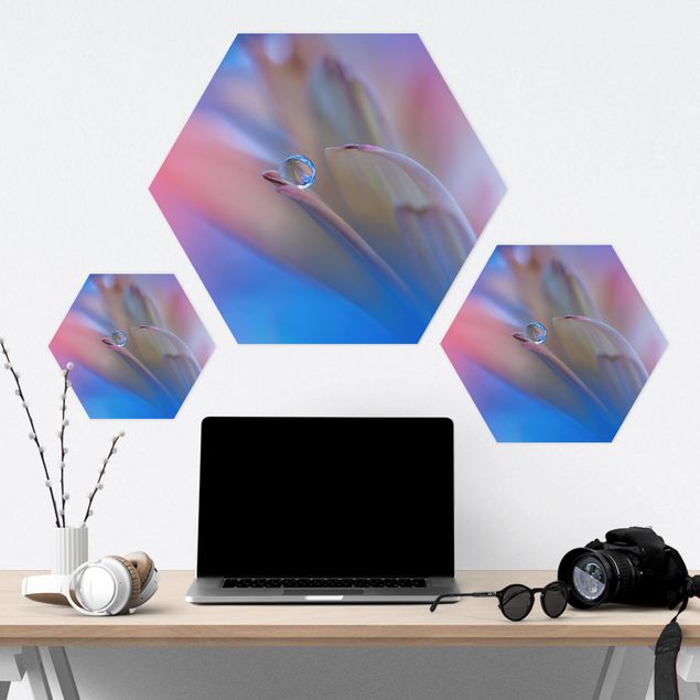 Hexagon Bild Forex - Touch Me Softly