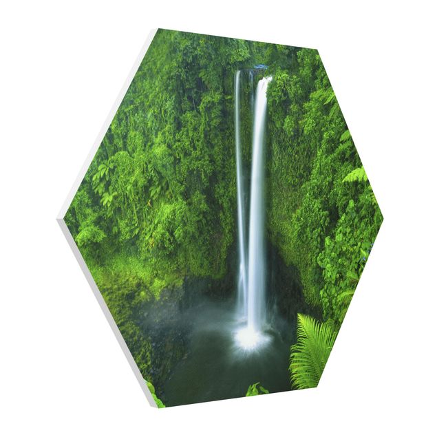 Hexagon Bild Forex - Paradiesischer Wasserfall