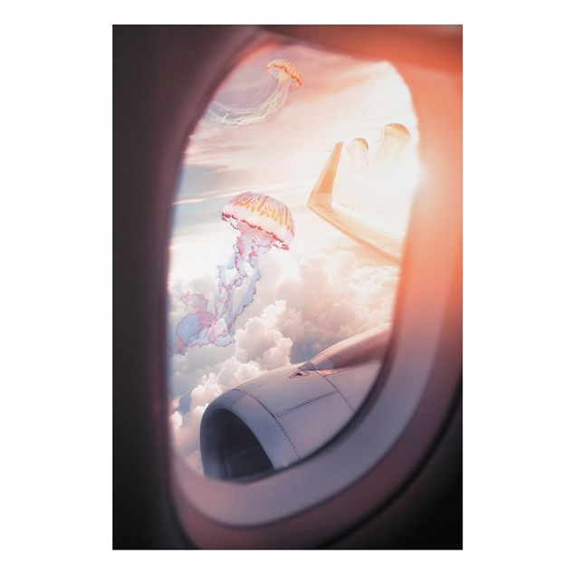 schöne Bilder Flugzeug mit Quallen