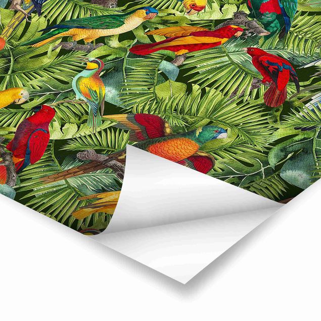 Poster - Bunte Collage - Papageien im Dschungel - Quadrat 1:1