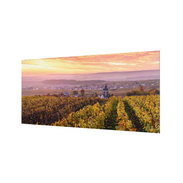 Spritzschutz - Weinplantage bei Sonnenuntergang - Querformat 2:1
