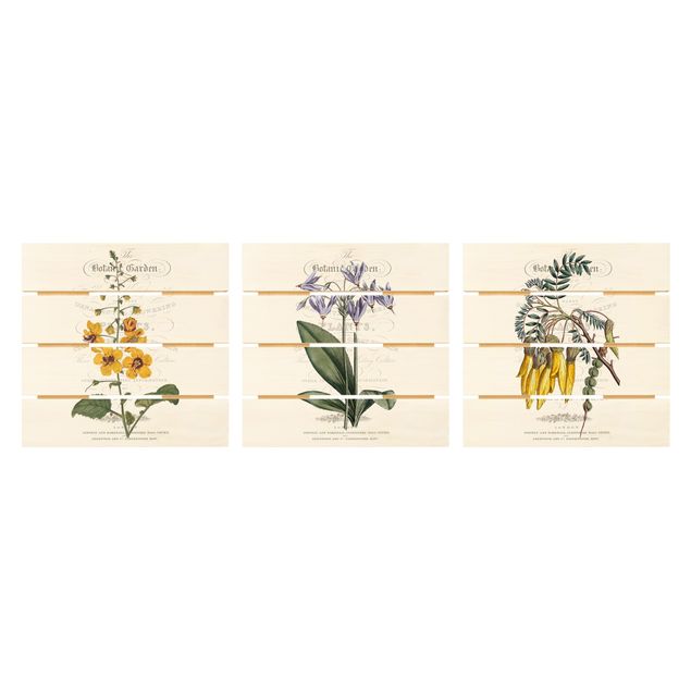 Holzbild 3-teilig - Botanisches Tableau Set I - Quadrate 1:1