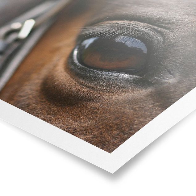 Moderne Poster Horse Eye No.3