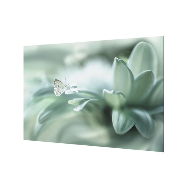 Spritzschutz Glas - Schmetterling und Tautropfen in Pastellgrün - Querformat - 3:2