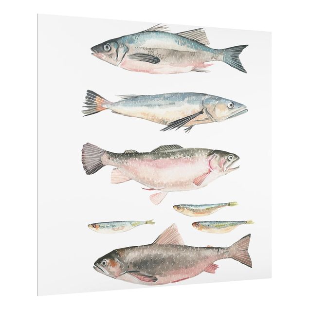 Spritzschutz Küche Sieben Fische in Aquarell I