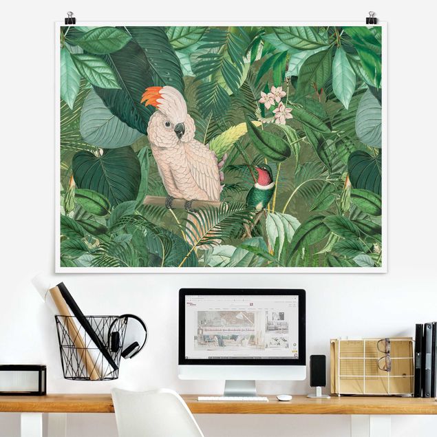 XXL Poster Vintage Collage - Kakadu und Kolibri