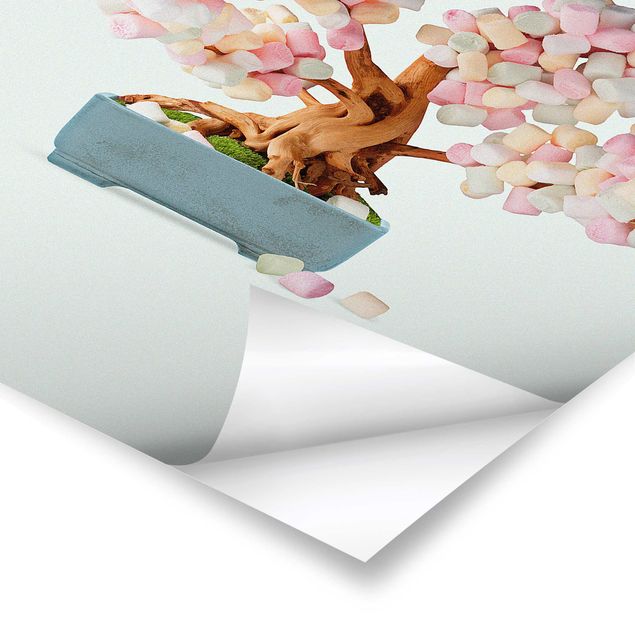 Poster - Jonas Loose - Bonsai mit Marshmallows - Hochformat 3:2