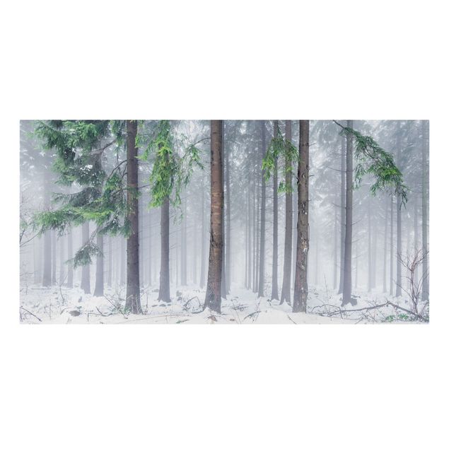 Leinwandbild - Nadelbäume im Winter - Querformat 2:1