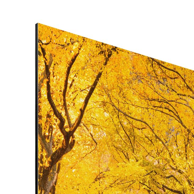 Alu-Dibond - Herbst im Central Park - Querformat