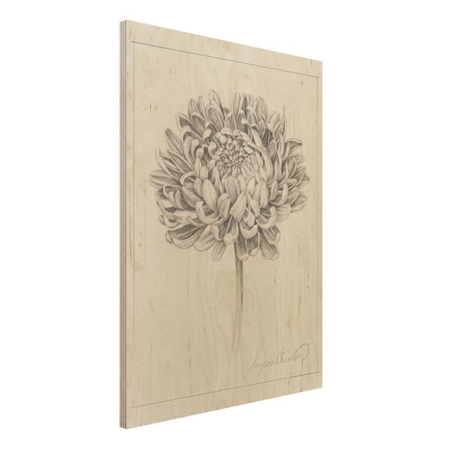Holzbilder Blumen Botanische Studie Chrysantheme II
