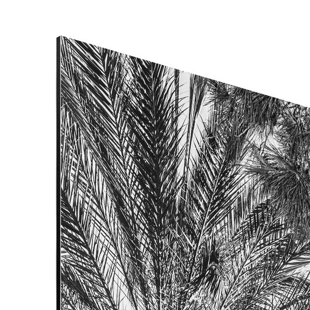 Aluminium Print gebürstet - Palmen im Sonnenuntergang Schwarz-Weiß - Hochformat 3:2