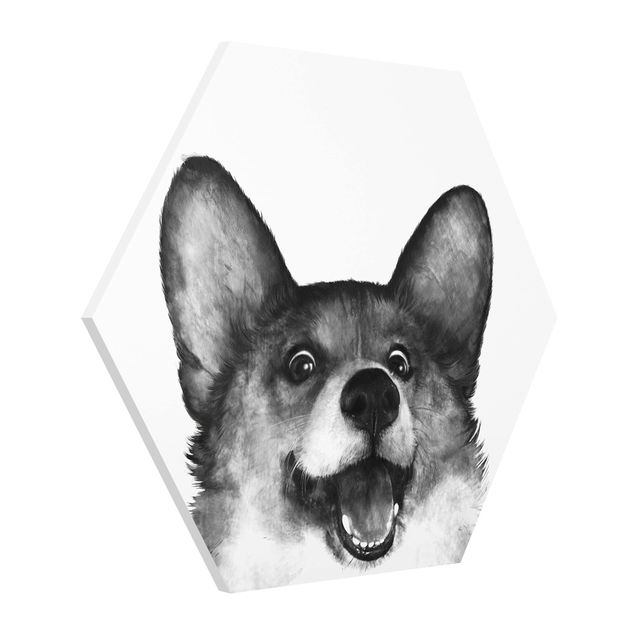 Hexagon Bild Forex - Illustration Hund Corgi Weiß Schwarz Malerei