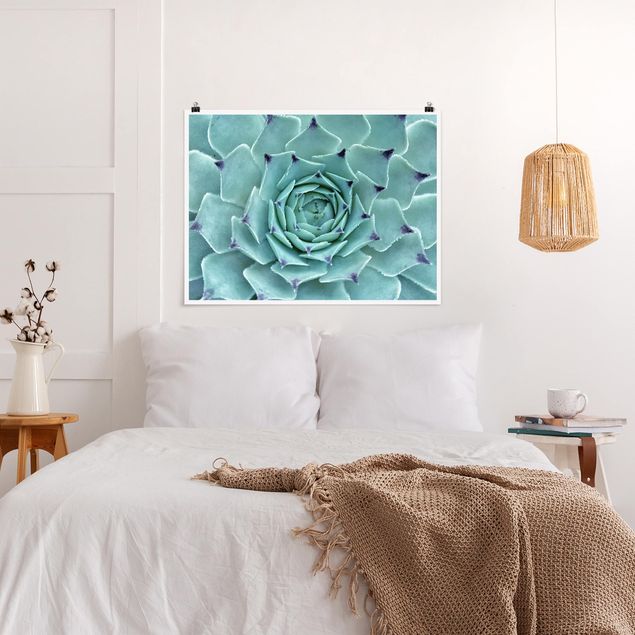 Poster mit Blumen Kaktus Agave