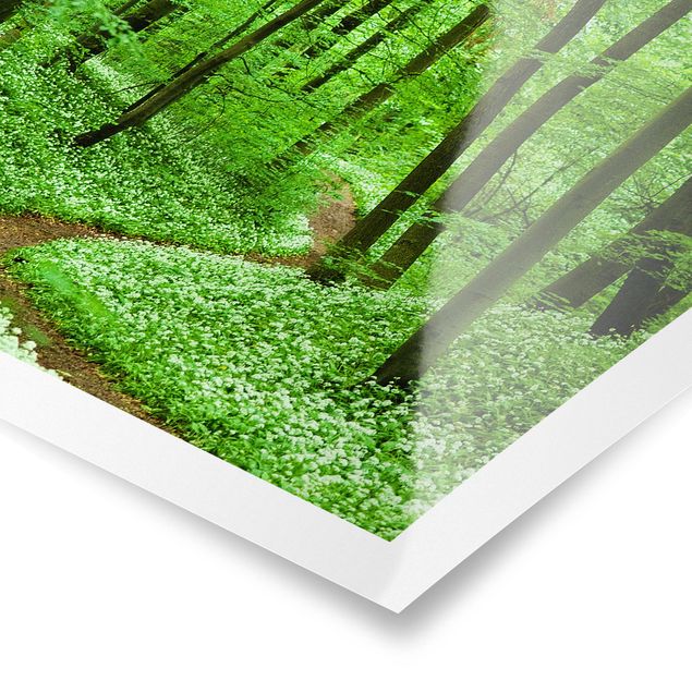 Poster - Romantischer Waldweg - Quadrat 1:1