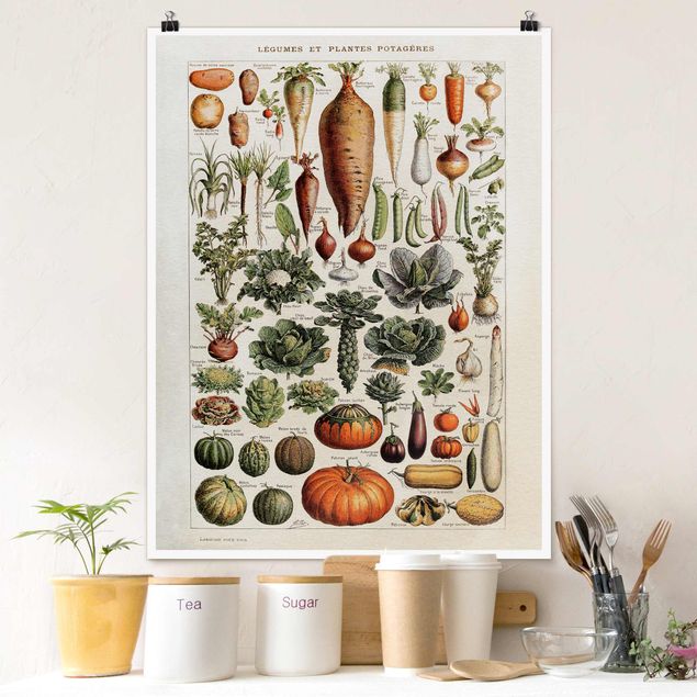 Wand Poster XXL Vintage Lehrtafel Gemüse