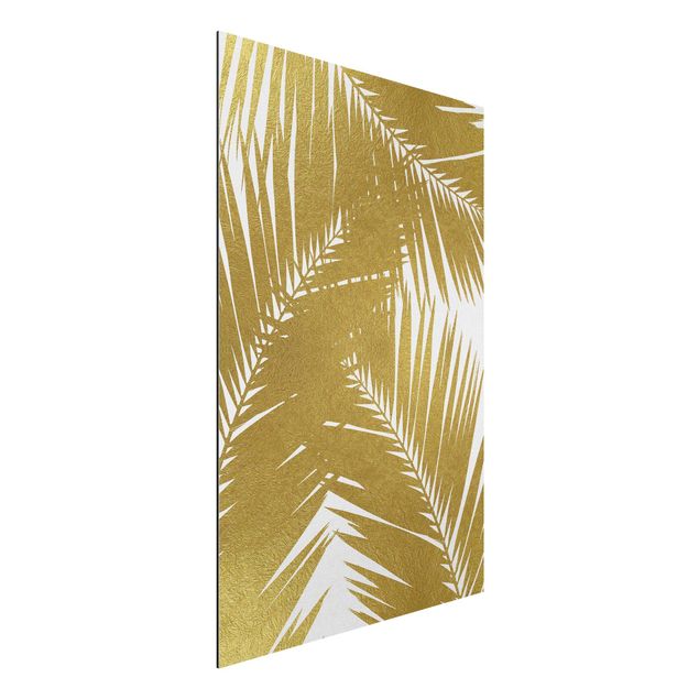 Alu-Dibond - Blick durch goldene Palmenblätter - Querformat