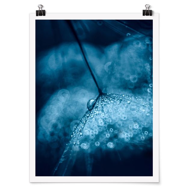 Moderne Poster Blaue Pusteblume im Regen