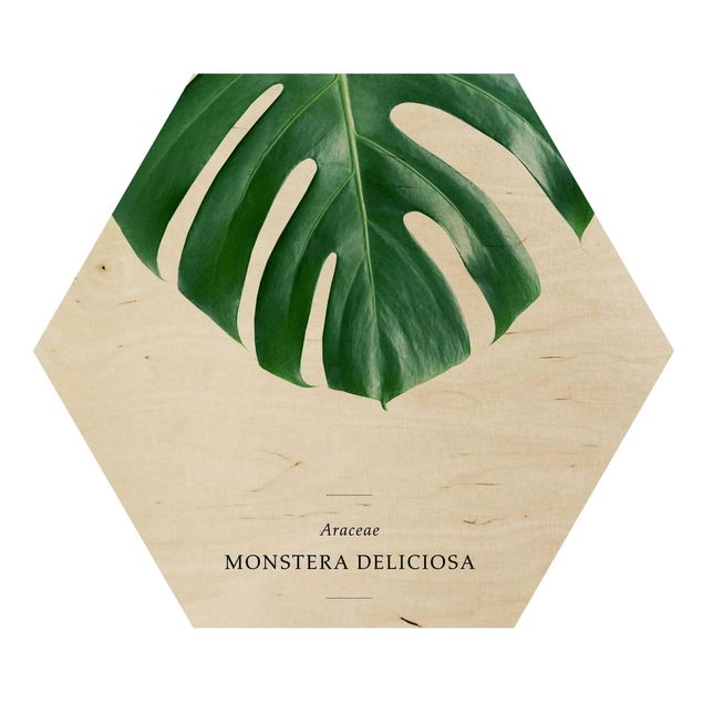 Hexagon Bild Holz - Tropisches Blatt Monstera