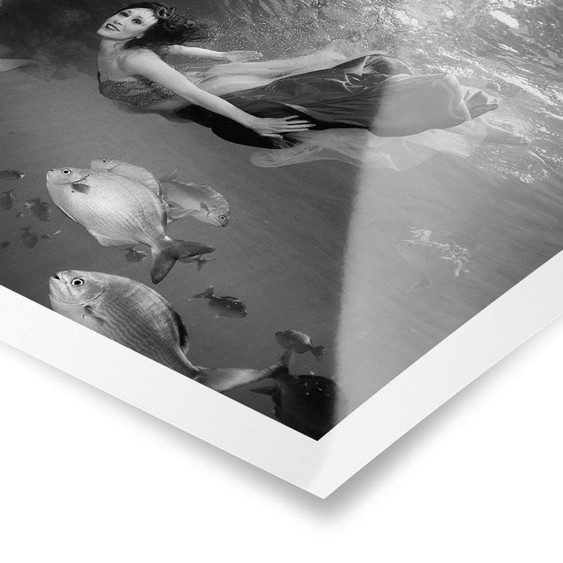 Poster kaufen Underwater Beauty II