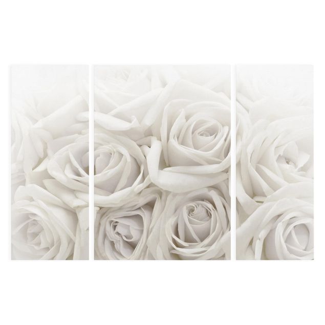 Leinwandbild 3-teilig - Weiße Rosen - Triptychon