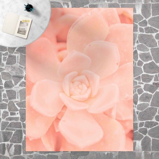 Teppich für Balkon Rosa Blütenzauber Echeveria