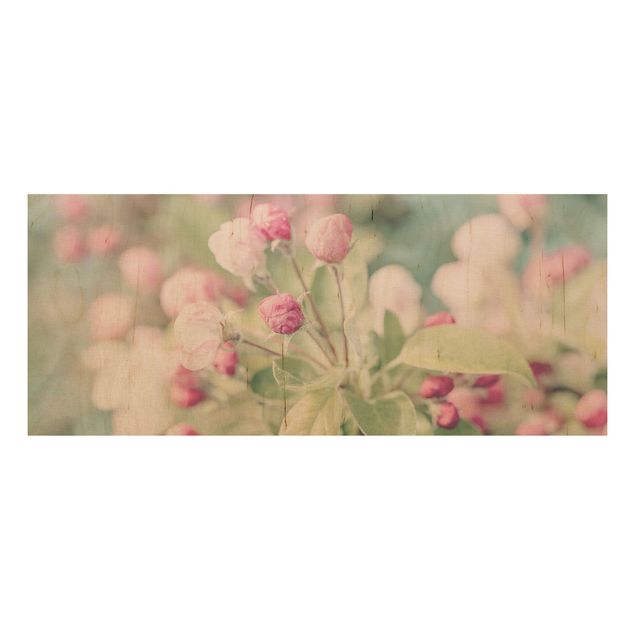 Holzbilder Vintage Apfelblüte Bokeh rosa