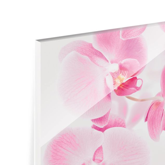 Glas Spritzschutz - Delicate Orchids - Querformat - 4:3