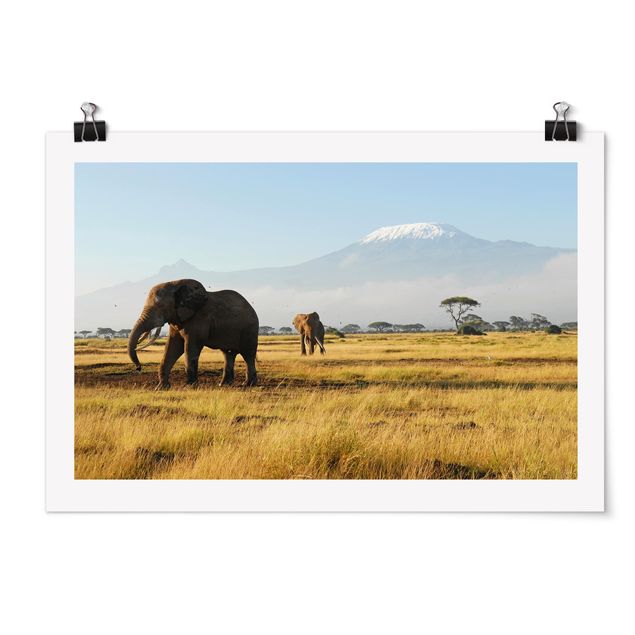 Poster - Elefanten vor dem Kilimanjaro in Kenya - Querformat 2:3