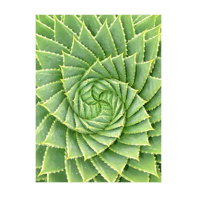 Teppich grün Spiral Aloe