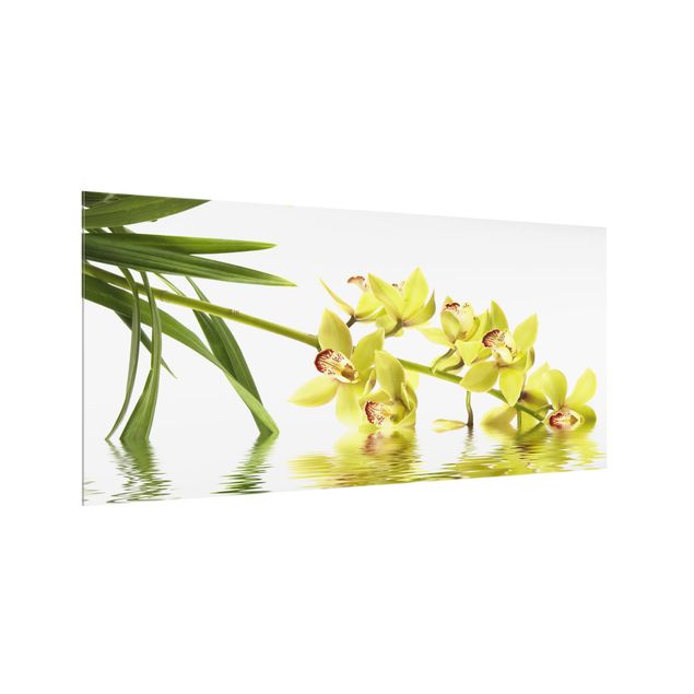 Spritzschutz Elegant Orchid Waters