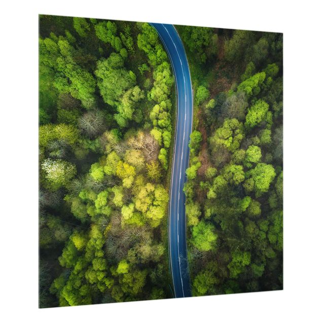 Spritzschutz Natur Luftbild - Asphaltstraße im Wald