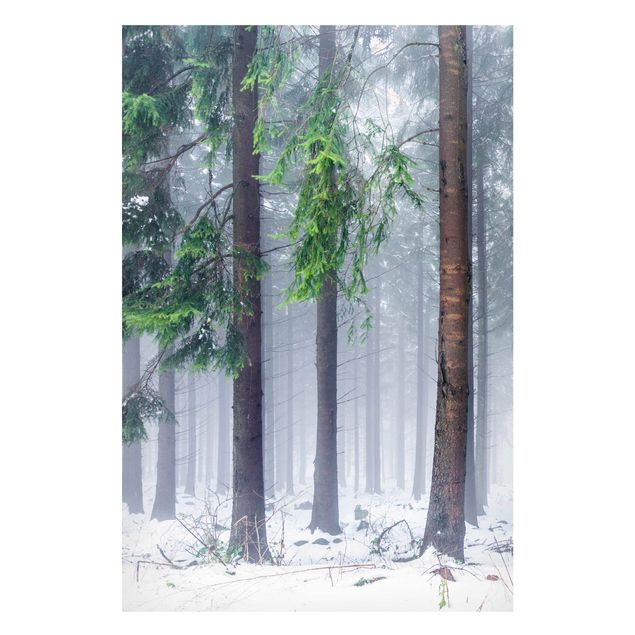 Magnettafel - Nadelbäume im Winter - Hochformat 2:3