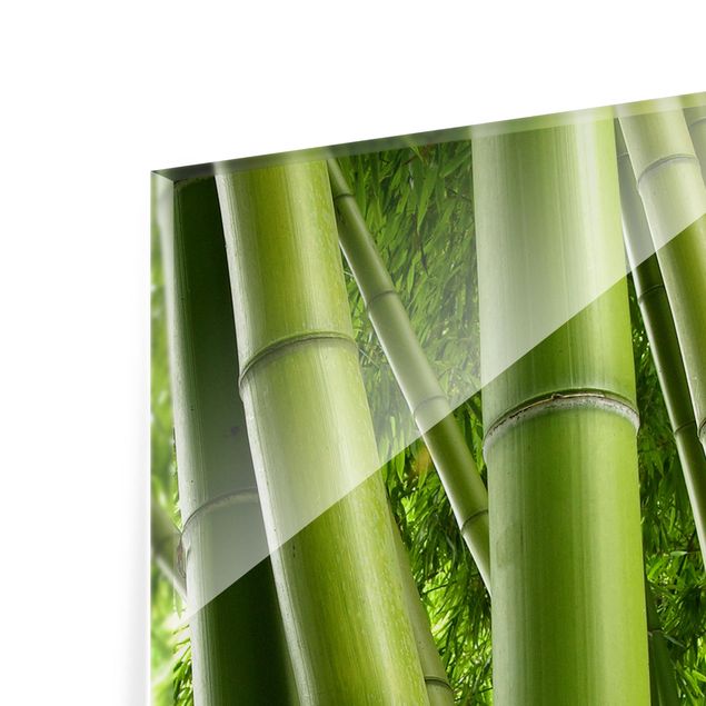 Glas Spritzschutz - Bamboo Trees - Quadrat - 1:1