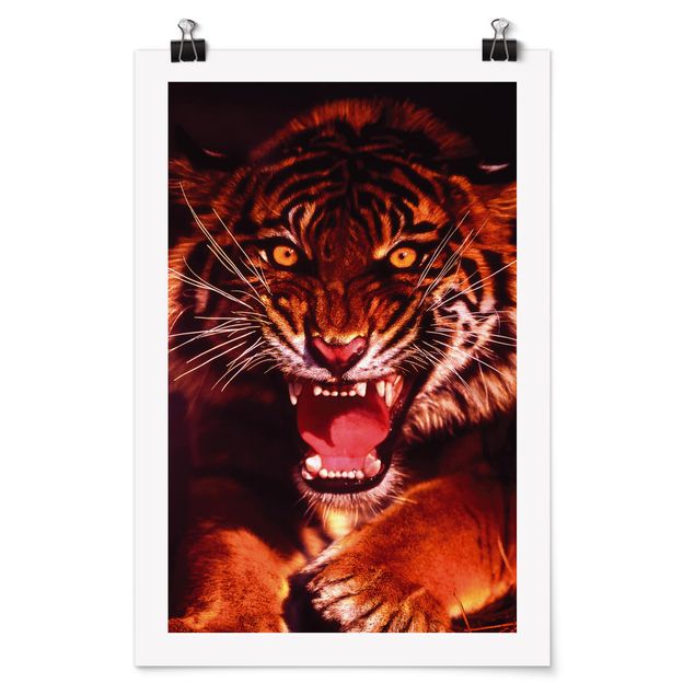 Poster - Wilder Tiger - Hochformat 3:2