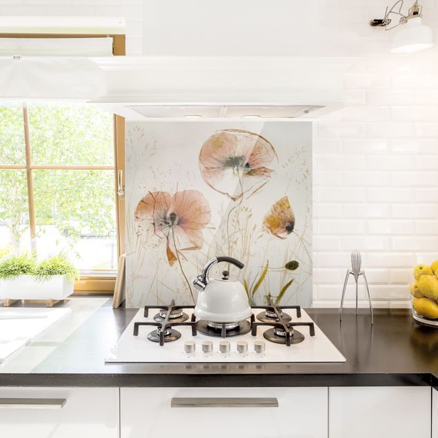 Glasrückwand Küche Blumen Getrocknete Mohnblüten mit zarten Gräsern