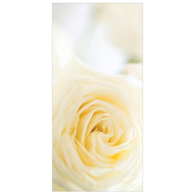 Raumteiler - White Rose 250x120cm