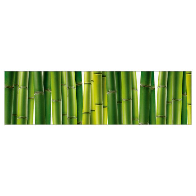 Motiv Küchenrückwand Bambuspflanzen I