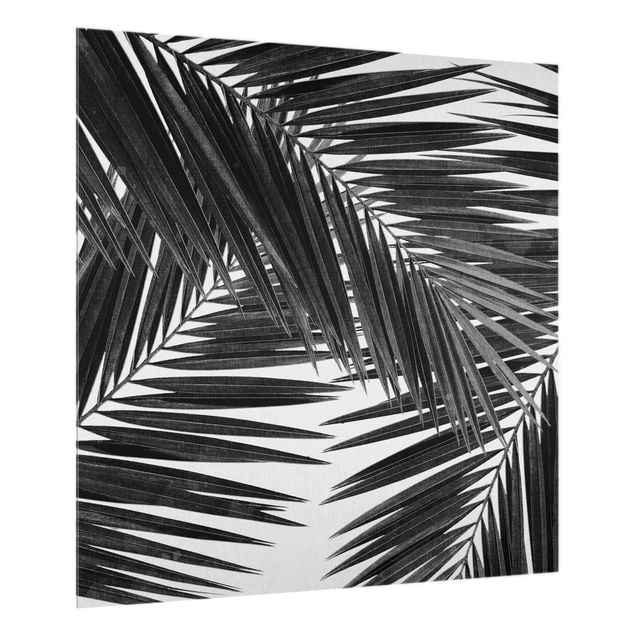 Spritzschutz Natur Blick durch Palmenblätter schwarz weiß