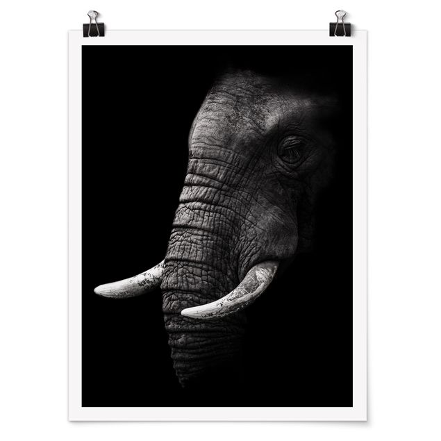 Poster Tiere Dunkles Elefanten Portrait