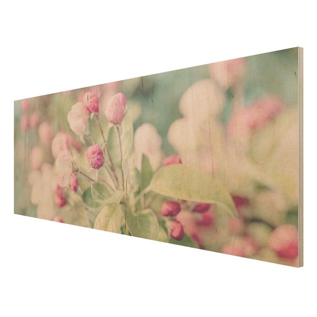 Holzbilder Apfelblüte Bokeh rosa