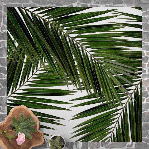 Balkon Teppich Blick durch grüne Palmenblätter