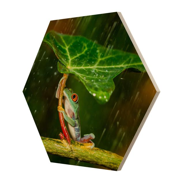 Hexagon Bild Holz - Ein Frosch im Regen