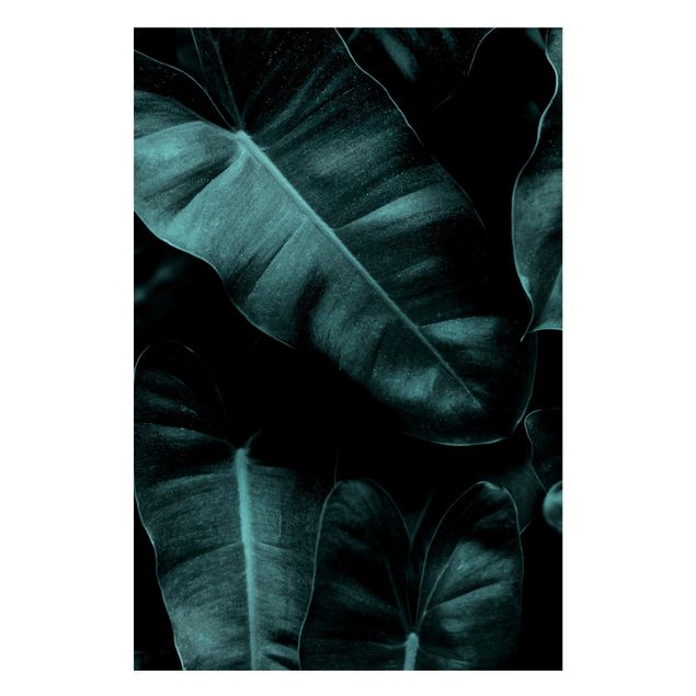 Magnettafel - Dschungel Blätter Dunkelgrün - Hochformat 2:3