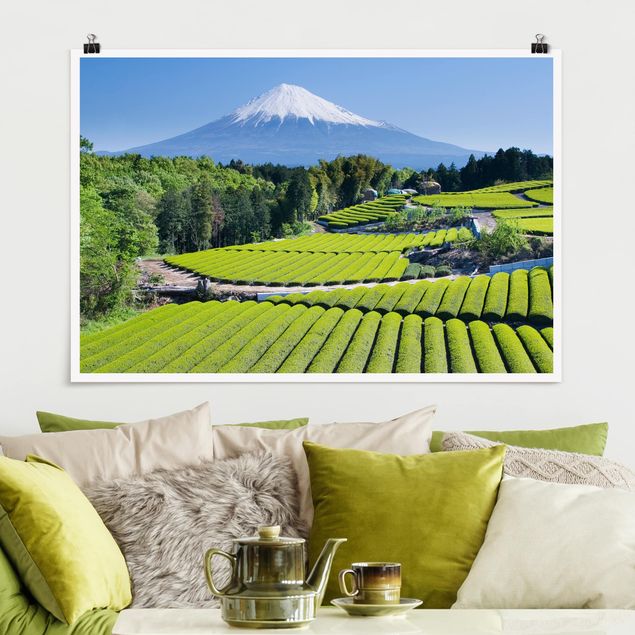 Poster - Teefelder vor dem Fuji - Querformat 2:3
