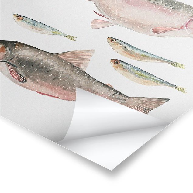 Poster - Sieben Fische in Aquarell I - Hochformat 3:2