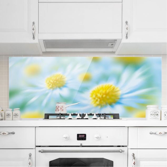 Glasrückwand Küche Blumen Daisy