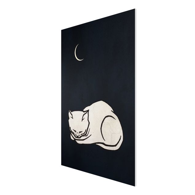 Bilder auf Hartschaumplatte Schlafende Katze Illustration