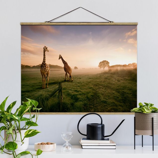 schöne Bilder Surreal Giraffes
