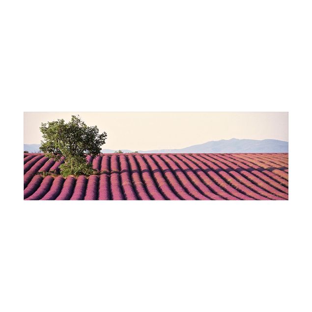 Teppich für Balkon Lavender