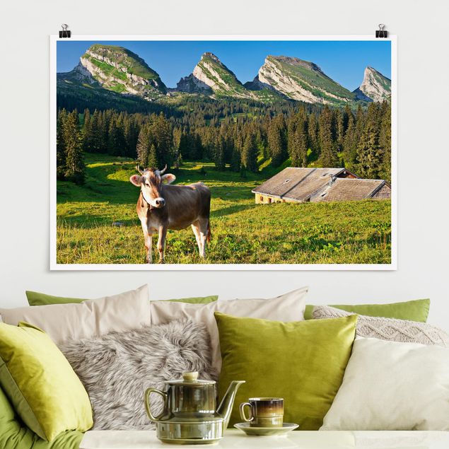 Poster Berge Schweizer Almwiese mit Kuh